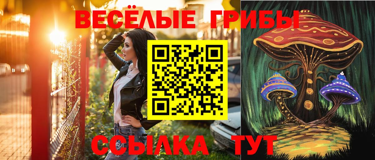 Псилоцибиновые грибы мухоморы Холмск
