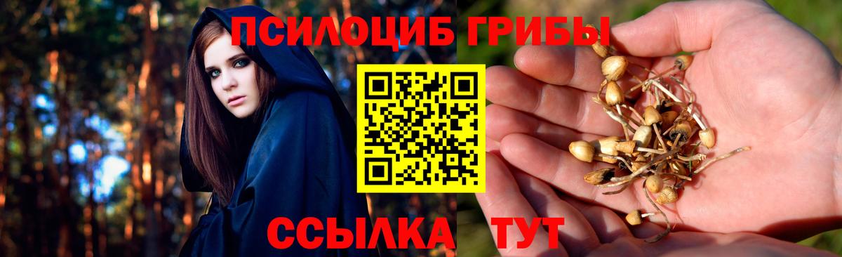 Холмск  Псилоцибиновые грибы Psilocybe  купить наркоту  Псилоцибиновые грибы GOLDEN TEACHER  Вход с VPN 